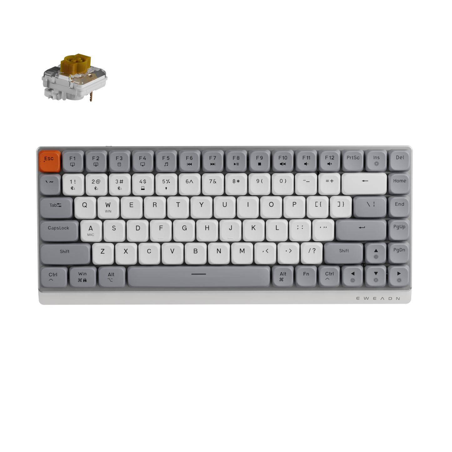 EWEADN MK84