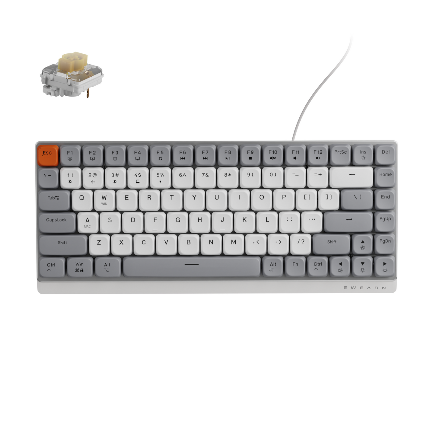 EWEADN MK84